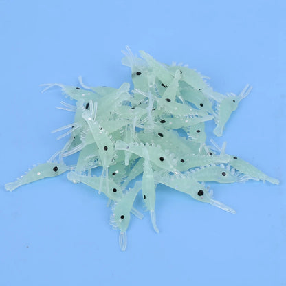 50Pcs Shrimp