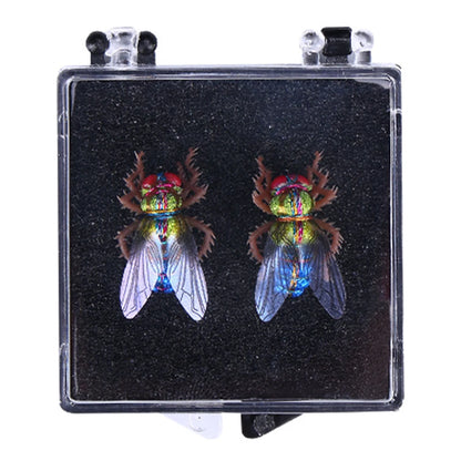 Fly Fishing Bait