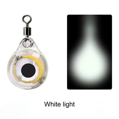 Fishing Lure Light
